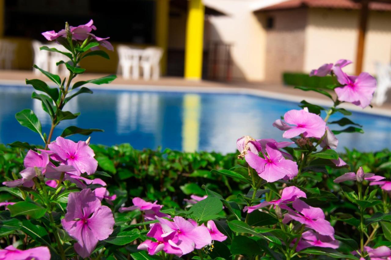 Deluxe Suites Guacamayos - Eco-Lodge & Swimming Pool Bonao Exteriér fotografie
